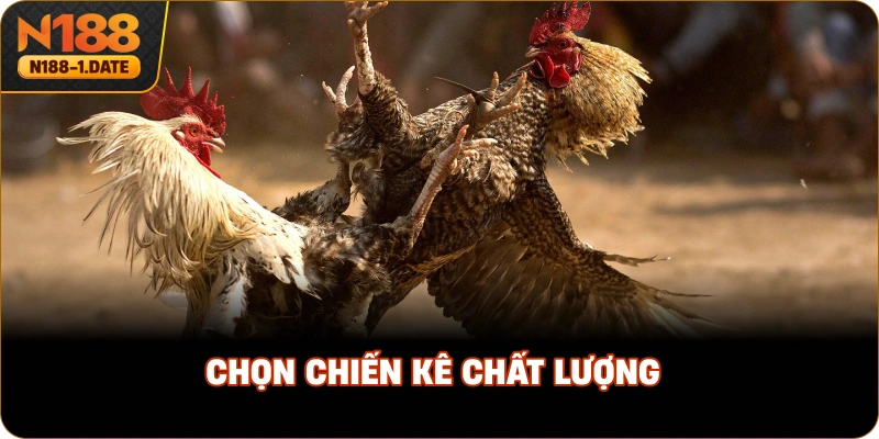 chon-chien-ke-chat-luong
