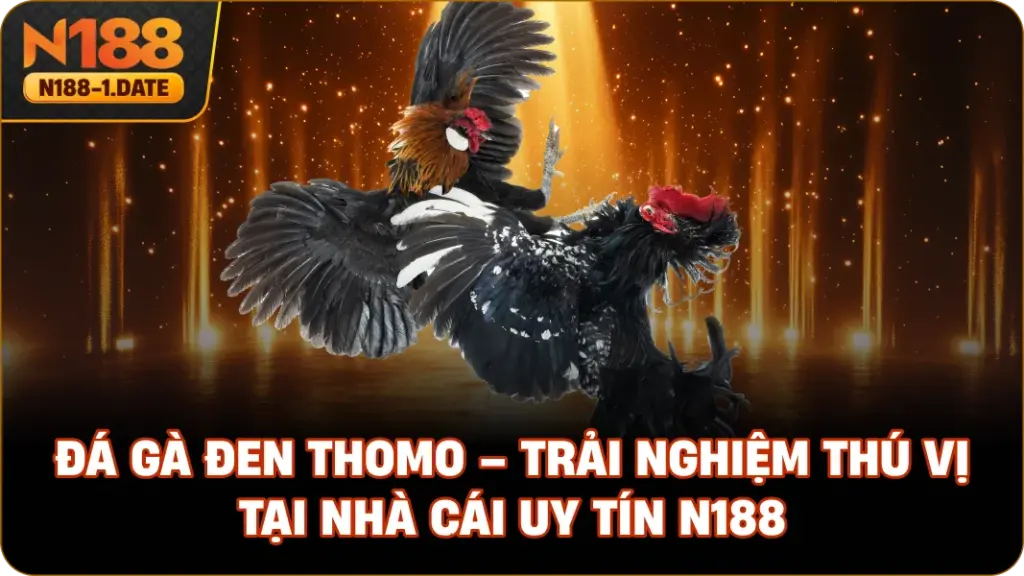 da-ga-den-thomo-trai-nghiem-thu-vi-tai-nha-cai-uy-tin-n188