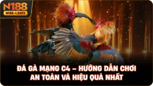 da-ga-mang-c4-huong-dan-choi-an-toan-va-hieu-qua-nhat