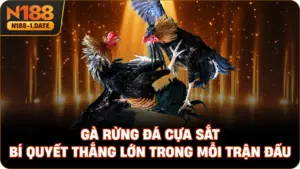 ga-rung-da-cua-sat-bi-quyet-thang-lon-trong-moi-tran-dau