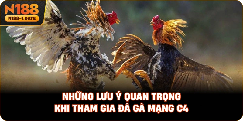 nhung-luu-y-quan-trong-khi-tham-gia-da-ga-mang-c4